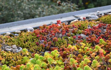 the cost of Stibb Cross green roof installation