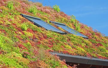 Stibb Cross living roof systems