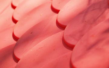 Stibb Cross plastic roof costs