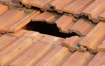 roof repair Stibb Cross, Devon